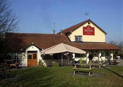 THE SHARK, HARLOW